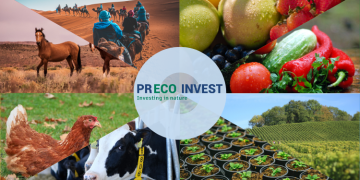 A New Humic Acid Solution from Europe: A Revolutionary Product for the GCC Market