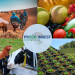A New Humic Acid Solution from Europe: A Revolutionary Product for the GCC Market