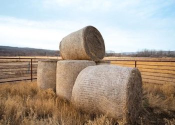CNH invests in ecofriendly bale storage innovator Nature’s Net Wrap