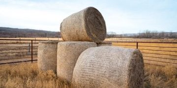CNH invests in ecofriendly bale storage innovator Nature’s Net Wrap