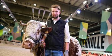 Animal heavyweights and four-legged dwarfs at Grüne Woche 2024
