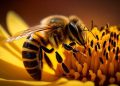 Apiculture Market is projected to reach US$ 15.3 Billion by 2032 | Fact.MR