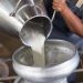 Dairy cows: reducing cells that count – naturally
