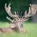 Equitrans Logistics Oversees Pioneering Shipment of Red Deer Semen