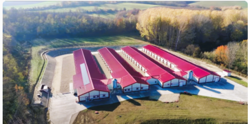 Behind the Scenes of the new Aviagen Kft GP Rearing Farm