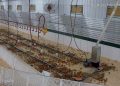 Ebenfeld Hutterian Brethren Enhances Poultry Production with BioTherm’s Cutting Edge Heating System