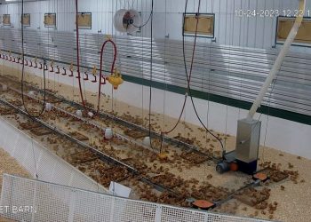 Ebenfeld Hutterian Brethren Enhances Poultry Production with BioTherm’s Cutting Edge Heating System