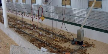 Ebenfeld Hutterian Brethren Enhances Poultry Production with BioTherm’s Cutting Edge Heating System