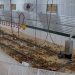 Ebenfeld Hutterian Brethren Enhances Poultry Production with BioTherm’s Cutting Edge Heating System
