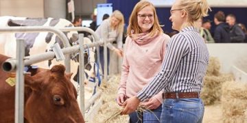 EuroTier 2024 innovations: Automation and animal welfare for animal housing of the future