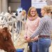 EuroTier 2024 innovations: Automation and animal welfare for animal housing of the future