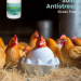 STRESS FREE HABITAT FOR POULTRY