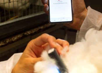 Cargill launches REVEAL™ Layers, a first-of-its-kind, non-invasive NIR technology to monitor the body condition of poultry