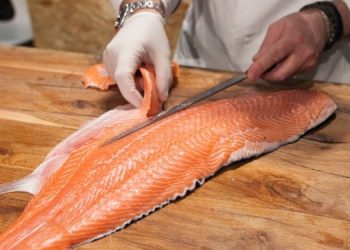 Norwegian Seafood Council to showcase the best of Norwegian trout, mackerel, halibut, and cod at Saudi Food Show 2024