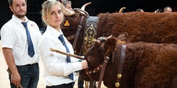 SPOT SOMMET DE L’ELEVAGE INTERNATIONAL 2024 – ENG