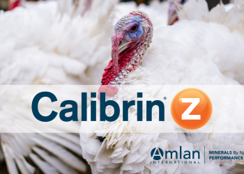 Feeding Calibrin®-Z Results In Improved Key Performance In Turkeys