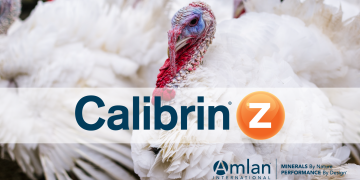 Feeding Calibrin®-Z Results In Improved Key Performance In Turkeys