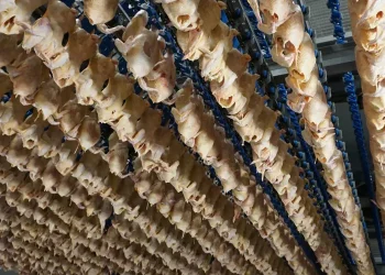 How to maximize chilling efficiency