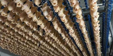 How to maximize chilling efficiency