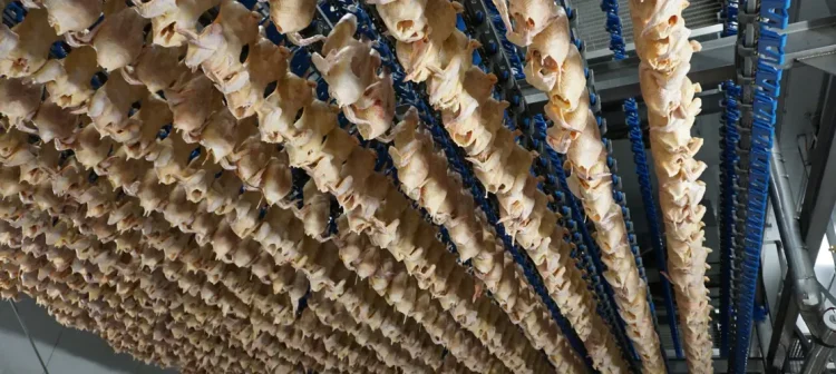 How to maximize chilling efficiency