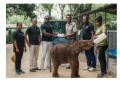SUN SIYAM PASIKUDAH LAUNCHES “CAREPHANT PROJECT” TO FOSTER  BABY ELEPHANT NAMED KALO IN SRI LANKA