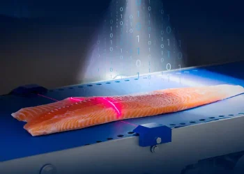 How digital technology ensures fish product traceability