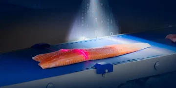 How digital technology ensures fish product traceability