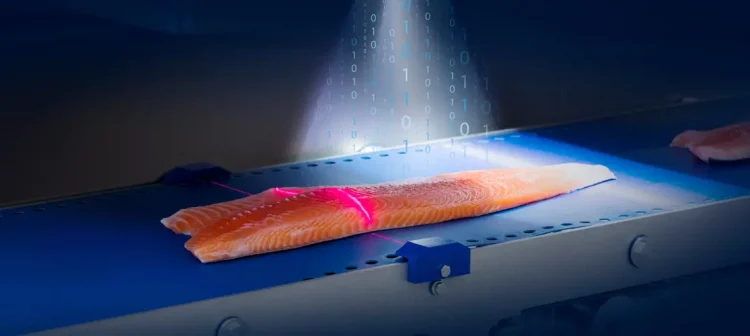 How digital technology ensures fish product traceability