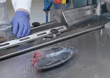 Transforming tuna processing