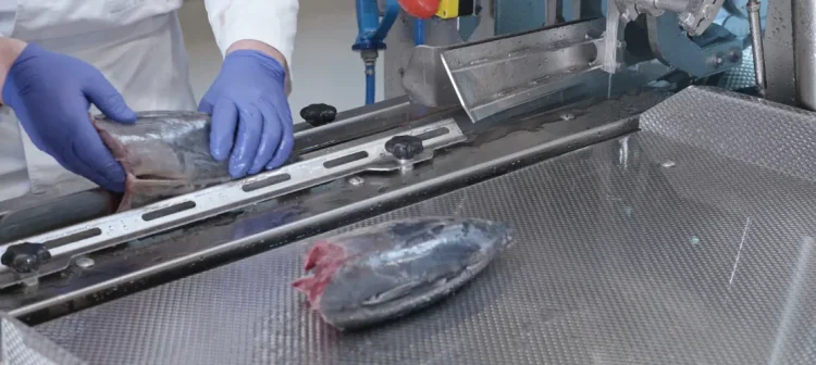 Transforming tuna processing