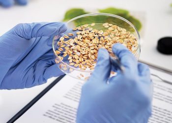 To modernise the legislative system and ensure the quality of food and animal feed ADAFSA Regulates Food and Fodder Sampling