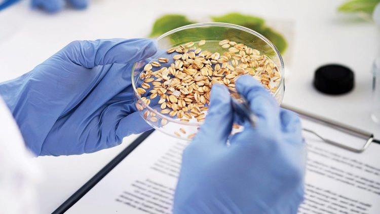 To modernise the legislative system and ensure the quality of food and animal feed ADAFSA Regulates Food and Fodder Sampling