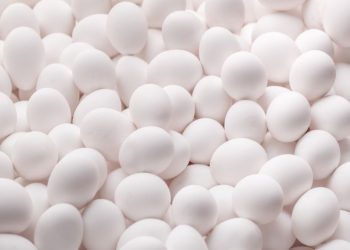 Continuous Investment in Research and Development: Staying Ahead in the Global Egg Sector