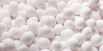 Continuous Investment in Research and Development: Staying Ahead in the Global Egg Sector