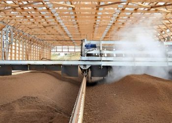 Can Composting Succeed in Hot, Dry Climates?