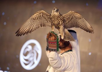 Abu Dhabi International Hunting and Equestrian Exhibition 2024 set to take its famous Falcon Auction online