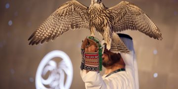 Abu Dhabi International Hunting and Equestrian Exhibition 2024 set to take its famous Falcon Auction online