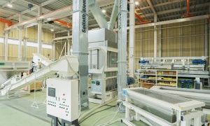 Quick Results, Healthy Soil: Try Hybrid Fertilizer