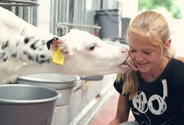 KLAREMELK: YOUR PARTNER FOR YOUNG ANIMAL NUTRITION