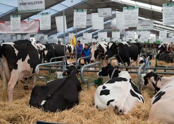 World’s No.1 sustainable livestock Summit this October in France