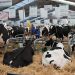 World’s No.1 sustainable livestock Summit this October in France