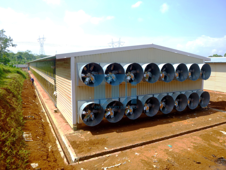 Why Prefabricated Modern Agro Closed Houses are gaining ground in livestock operations?