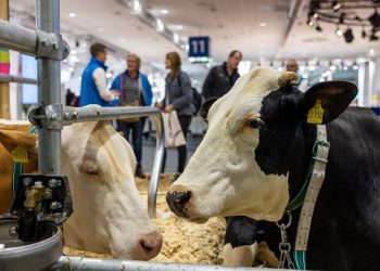 Don’t miss the world’s leading trade fair for animal farming