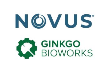 NOVUS partnering with biotech company to develop new feed additives