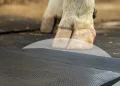 HOW RUBBER IS REVOLUTIONIZING ANIMAL WELFARE
