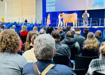 EuroTier 2024 Showcases Innovations in Sustainable Animal Farming