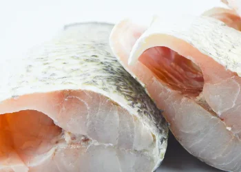 Meeting the growing demand for barramundi: Australia’s iconic fish