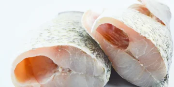 Meeting the growing demand for barramundi: Australia’s iconic fish