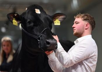 EuroTier 2024: world leading trade fair successfully powers the livestock industry