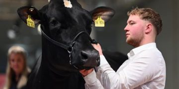 EuroTier 2024: world leading trade fair successfully powers the livestock industry